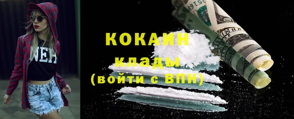 стаф Новодвинск