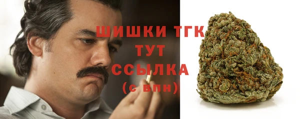 таблы Новозыбков