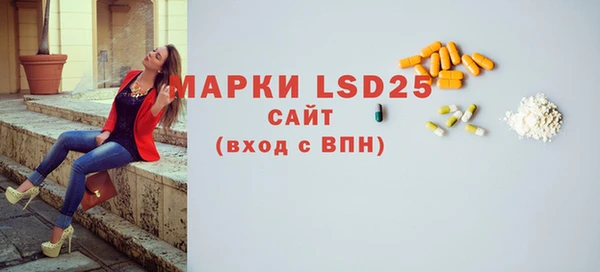 стаф Новодвинск