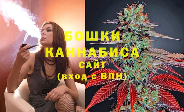 соль ск Новокубанск