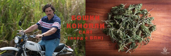 таблы Новозыбков
