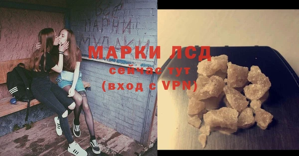 стаф Новодвинск