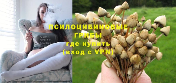 соль ск Новокубанск