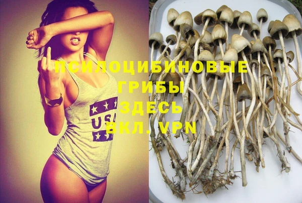таблы Новозыбков