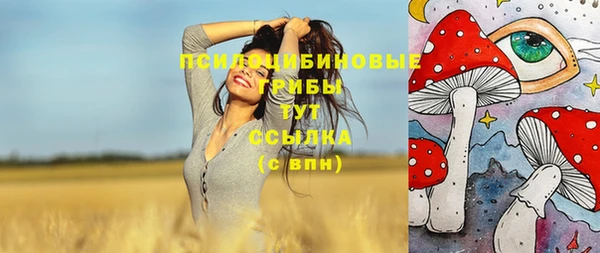 стаф Новодвинск