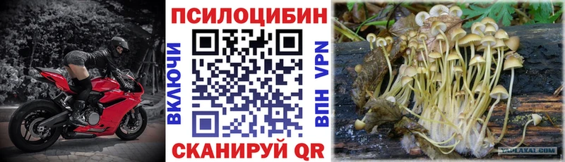 Псилоцибиновые грибы мицелий  Покров 
